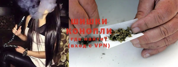 дмт Лиски